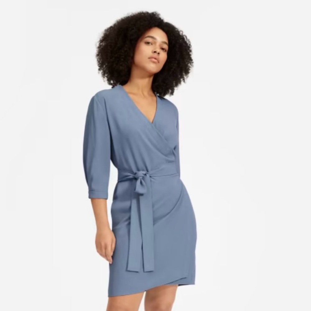 Everlane Dusty Blue Wrap Dress